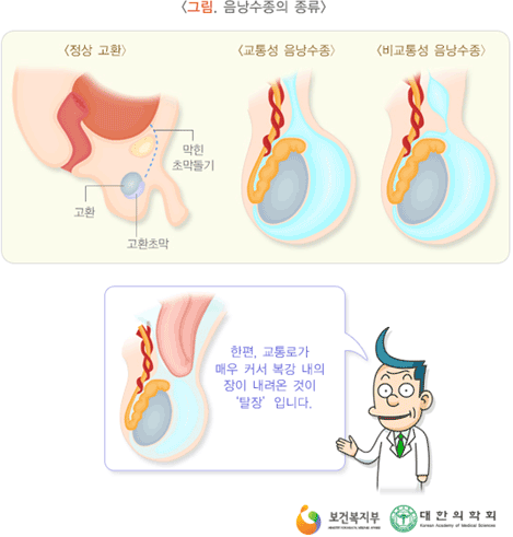 �̹���